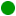 Verde (13)